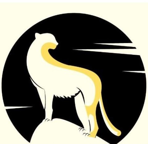 Cats Diary Tours & Transport Solutions